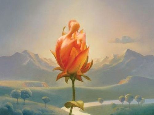 casal-em-uma-rosa