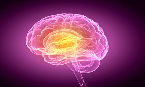 cerebro-pessoas-indecisas