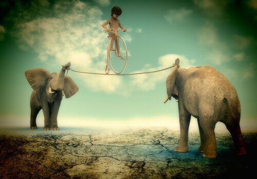 menino-se-equilibrando-entre-elefantes-mostrando-força-de-vontade