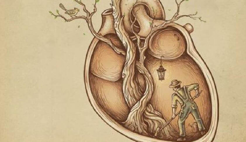 Lavrador limpando um coração Paz interior no coração