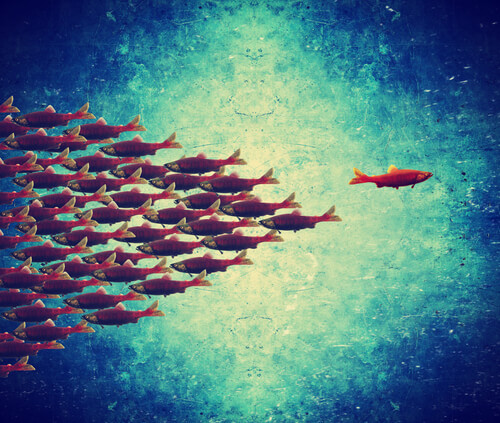 pessoas com caminhos diferentes