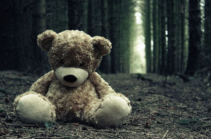 bichinho-de-pelucia-na-floresta Conviver com a dor de uma mãe: um processo duro para os filhos