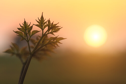 nunca é tarde para recomeçar