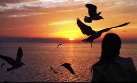 mulher-vendo-por-do-sol