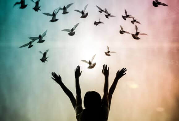 pessoas-com-passaros