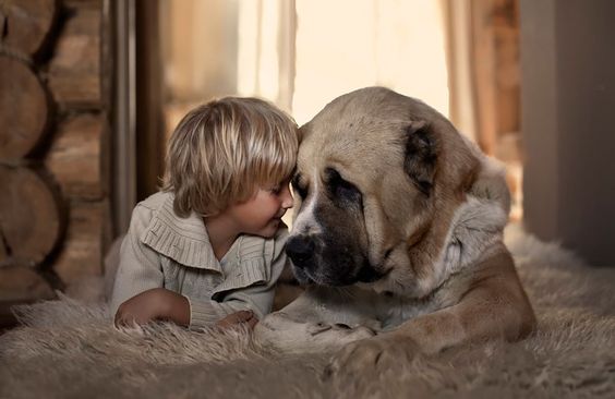 amor-animal-menino-com-cachorro