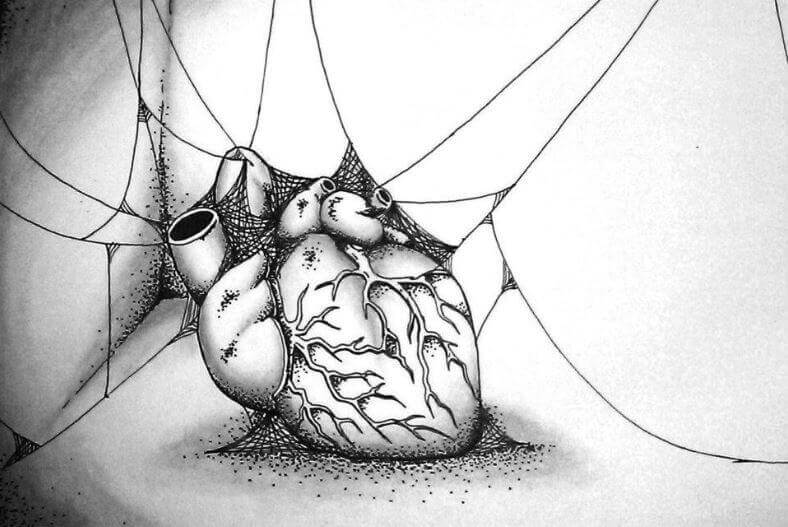 coracao-com-teia-de-aranhas