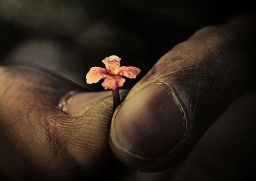 maos-com-flor