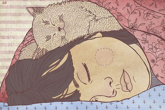 mulher-dormindo-com-gato