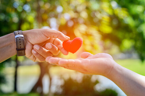 cuidar-do-seu-amor Cuide do seu amor