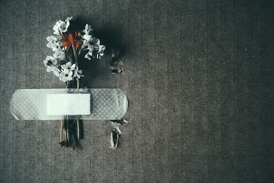 flores-sofrimento