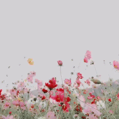 flores-vento