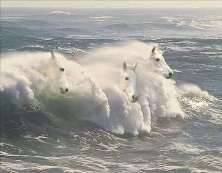 cavalos-ondas