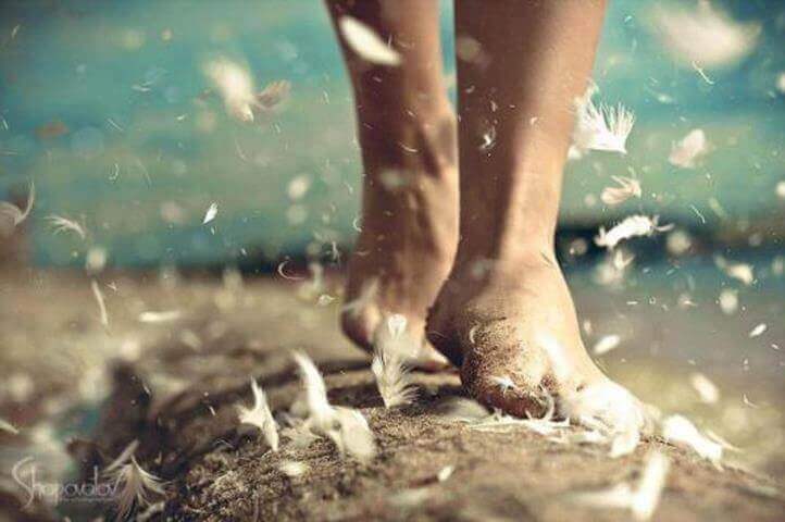 caminhar-pes-e-plumas