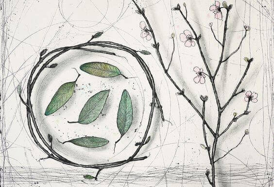 circulo-arvore