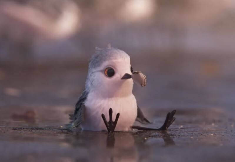 piper-curta-disney-pixar
