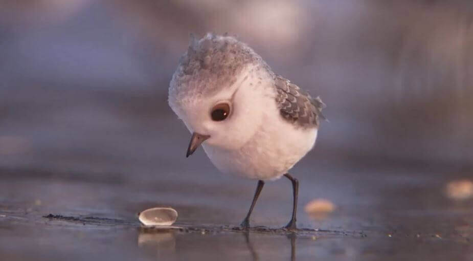 piper-curta-disney-pixar