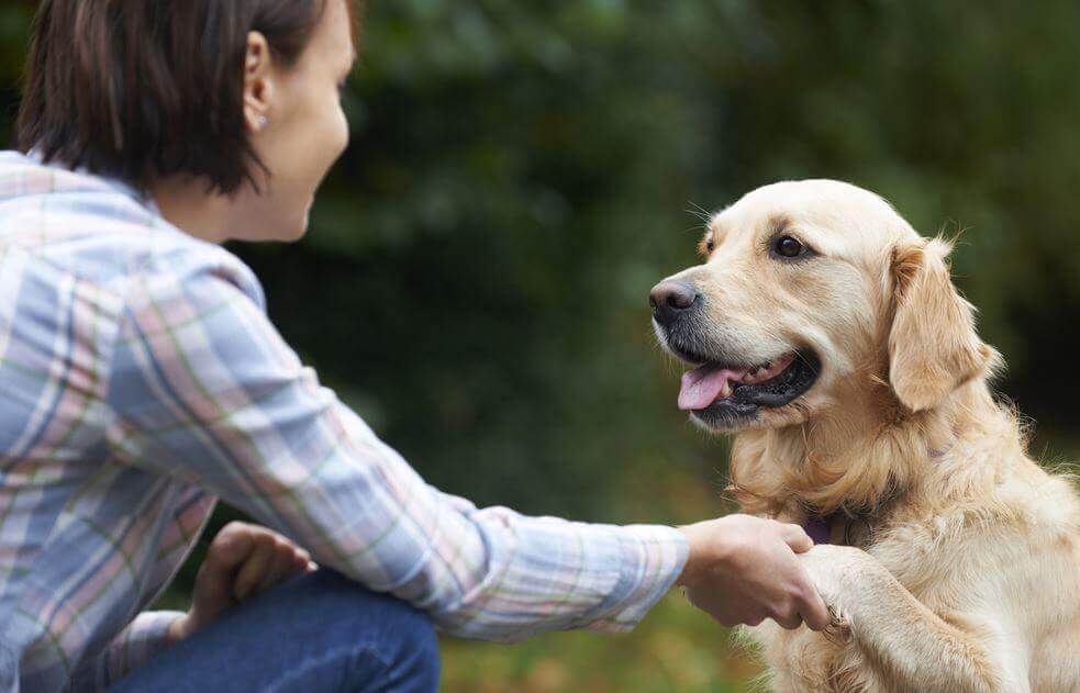 mulher-com-seu-cao Sabe como os cães reconhecem o nosso rosto?