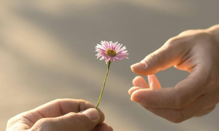 maos-dando-flor 5 demonstrações de maturidade de que o amor precisa