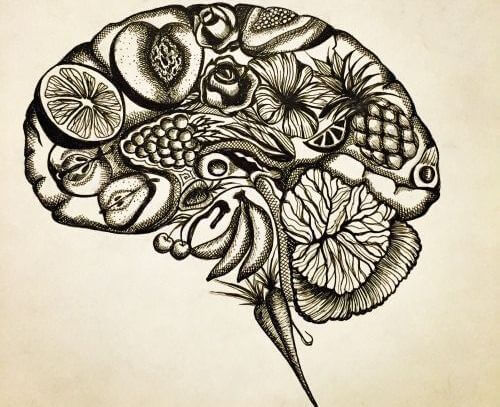 cerebro-flores