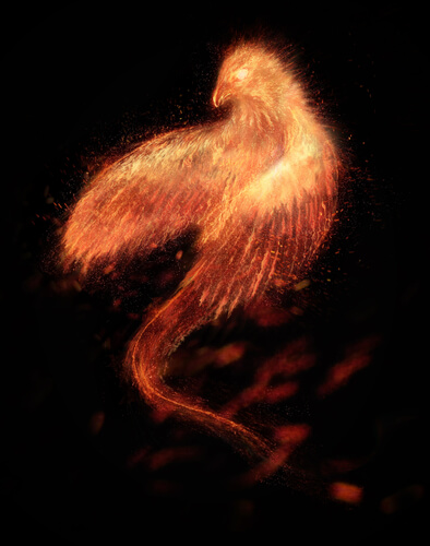 fenix Você é a vítima, a azarada ou a Fênix? – A escolha é sua!