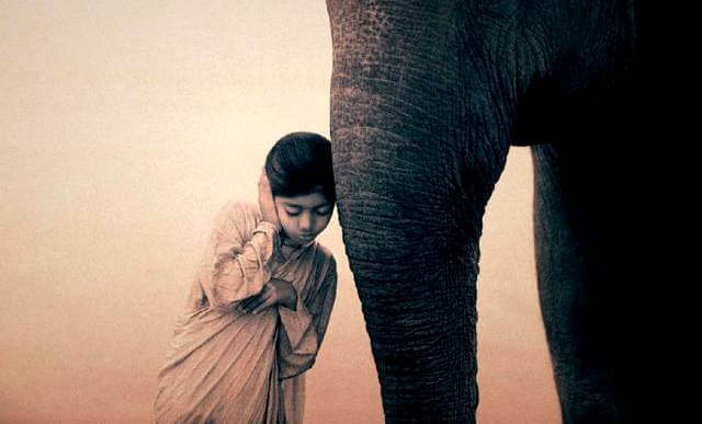 menina-com-elefante Meditar é descansar a mente para iniciar um diálogo com a alma