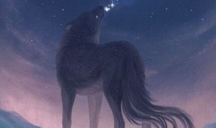 lobo-uivando-a-noite