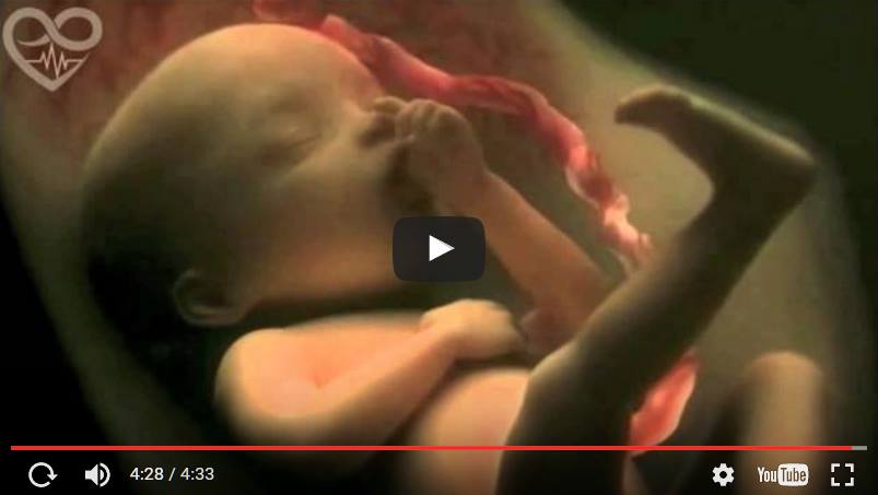 video-9-meses-de-gravidez-em-4-minutos 9 meses de gravidez em um maravilhoso vídeo de 4 minutos