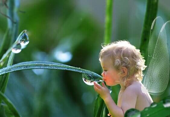 crianca-bebendo-agua-de-folha