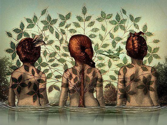 mulheres-rio-folhas