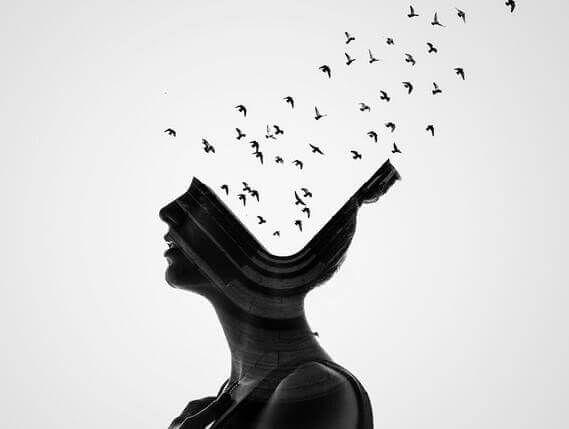 passaros-voando-cabeca
