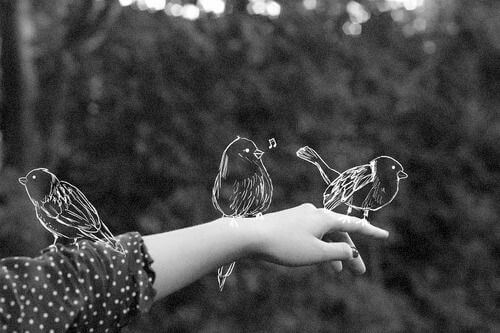 passarinhos-desenhados