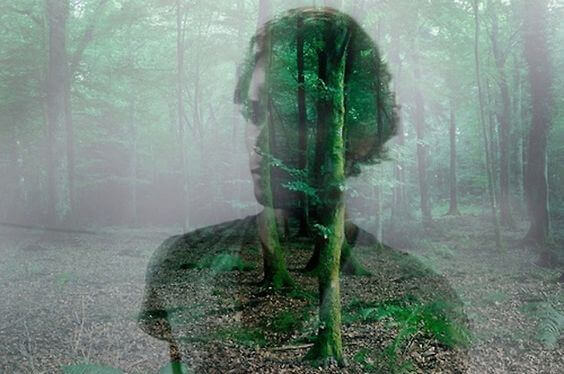 reflexo-homem-floresta