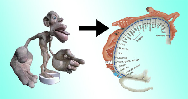 anatomia-dos-beijos