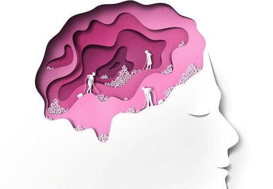 cerebro-cor-de-rosa