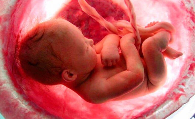 bebe-no-utero