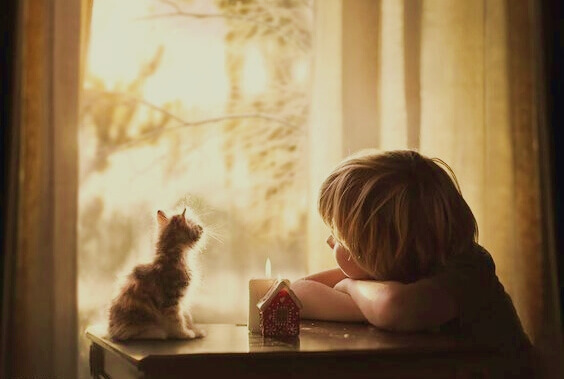 menino-com-filhote-de-gato