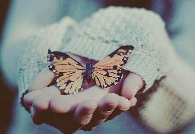 mao-com-borboleta