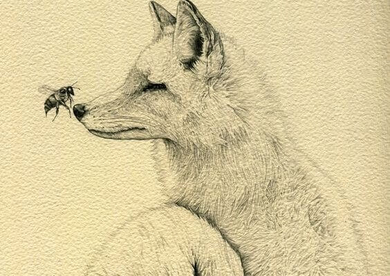 lobo-com-abelha-no-focinho