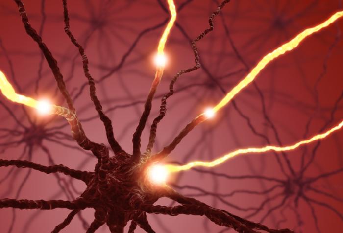 serotonina-neuronios Você sabe o que é a serotonina e que efeitos tem em seu corpo?