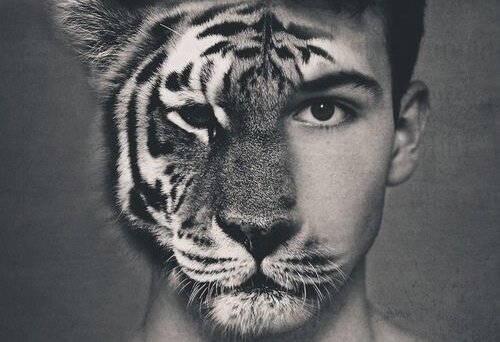 Rosto metade homem e metade tigre
