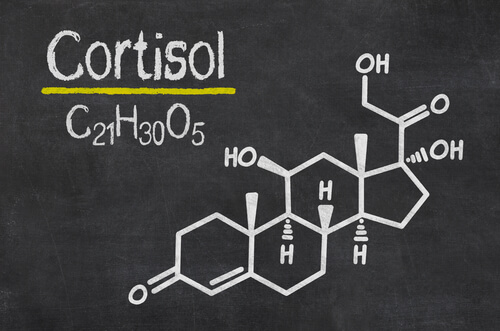 Cortisol, o hormônio do estresse