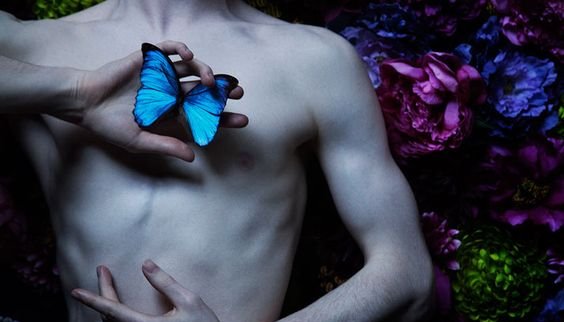 homem-segurando-borboleta-azul