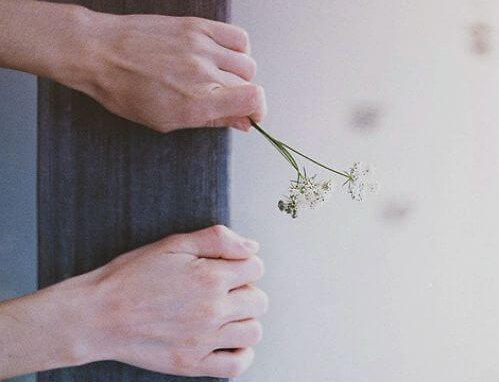 maos-segurando-flor