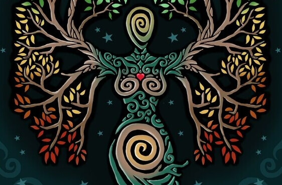 A sabedoria das árvores