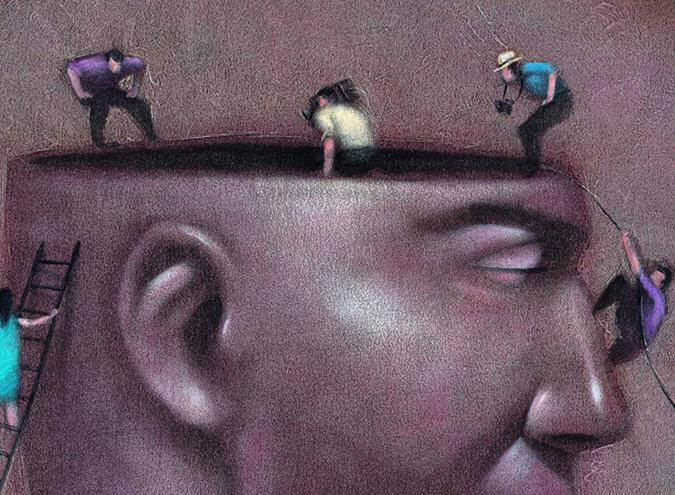 Cérebro humano