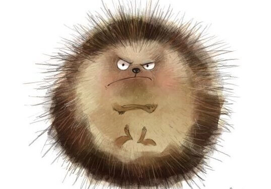 Porco espinho
