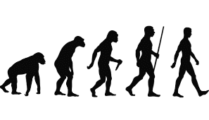 Evolução humana para Piaget