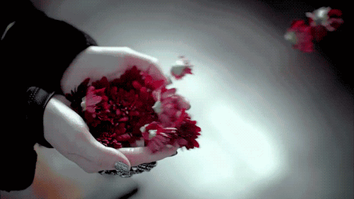 Flores voando de mãos unidas