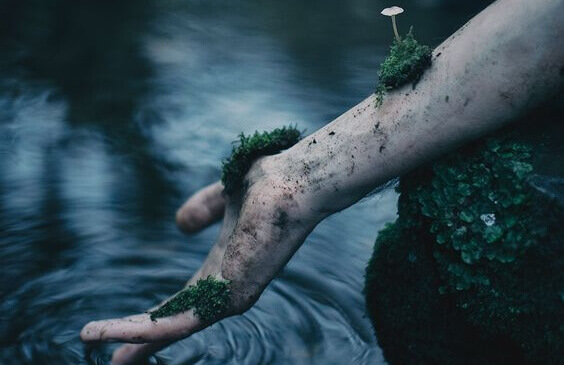 Plantas crescendo em braço